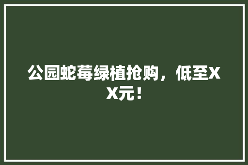 公园蛇莓绿植抢购，低至XX元！