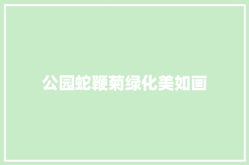 公园蛇鞭菊绿化美如画