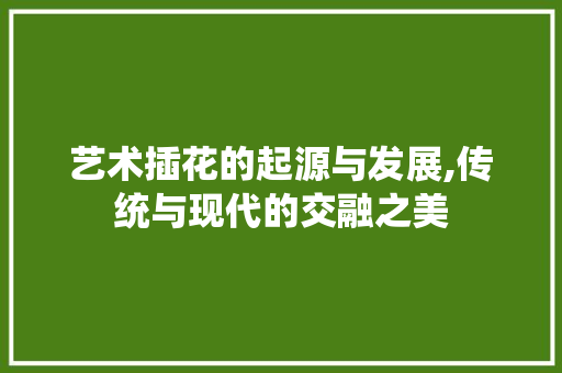 艺术插花的起源与发展,传统与现代的交融之美