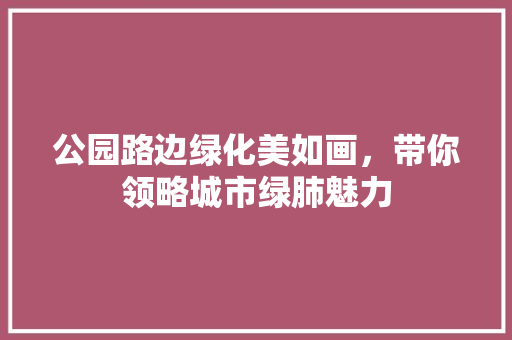 公园路边绿化美如画，带你领略城市绿肺魅力