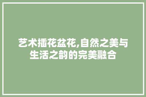 艺术插花盆花,自然之美与生活之韵的完美融合