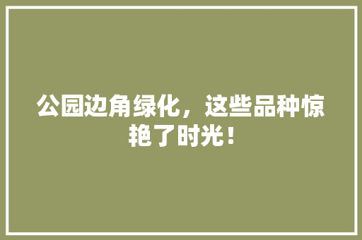 公园边角绿化，这些品种惊艳了时光！