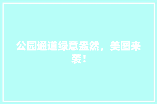 公园通道绿意盎然，美图来袭！