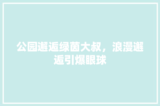 公园邂逅绿茵大叔，浪漫邂逅引爆眼球
