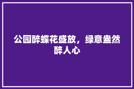 公园醉蝶花盛放，绿意盎然醉人心