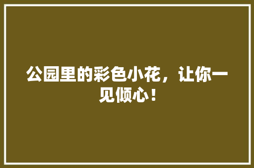 公园里的彩色小花，让你一见倾心！
