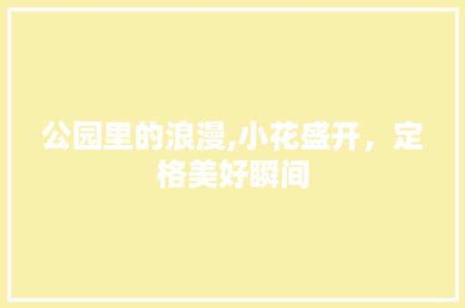 公园里的浪漫,小花盛开，定格美好瞬间