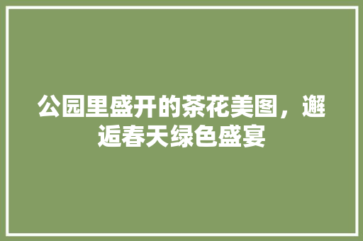 公园里盛开的茶花美图，邂逅春天绿色盛宴