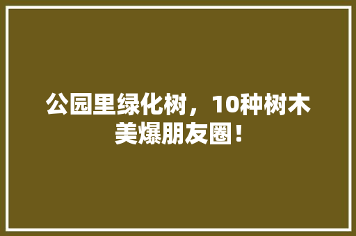 公园里绿化树，10种树木美爆朋友圈！