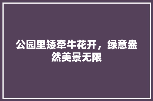 公园里矮牵牛花开，绿意盎然美景无限