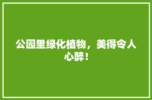 公园里绿化植物，美得令人心醉！