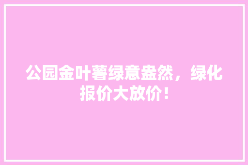 公园金叶薯绿意盎然，绿化报价大放价！