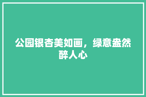 公园银杏美如画，绿意盎然醉人心