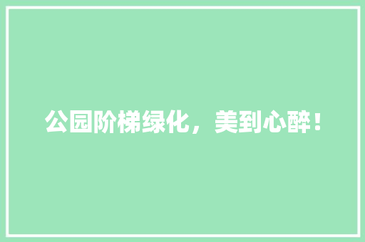 公园阶梯绿化，美到心醉！
