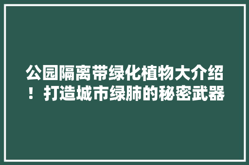 公园隔离带绿化植物大介绍！打造城市绿肺的秘密武器