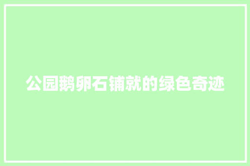 公园鹅卵石铺就的绿色奇迹
