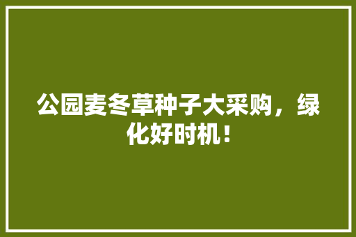 公园麦冬草种子大采购，绿化好时机！