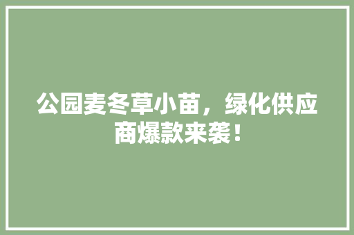 公园麦冬草小苗，绿化供应商爆款来袭！