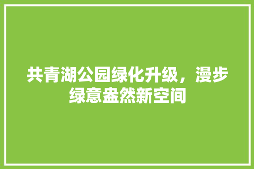 共青湖公园绿化升级，漫步绿意盎然新空间