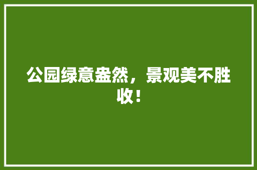 公园绿意盎然，景观美不胜收！
