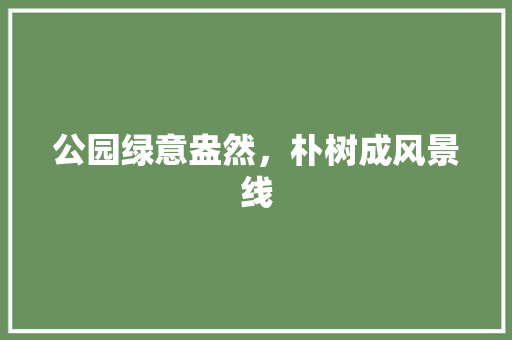 公园绿意盎然，朴树成风景线