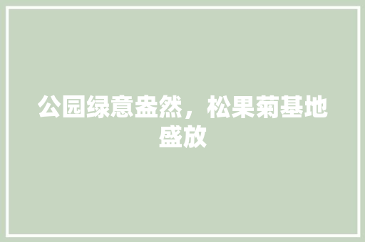 公园绿意盎然，松果菊基地盛放