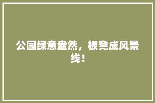 公园绿意盎然，板凳成风景线！