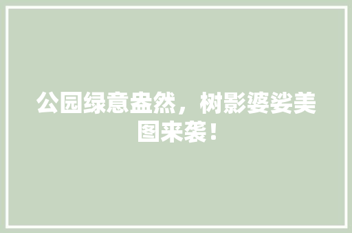 公园绿意盎然，树影婆娑美图来袭！