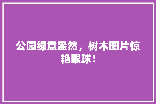 公园绿意盎然，树木图片惊艳眼球！