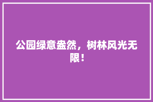 公园绿意盎然，树林风光无限！