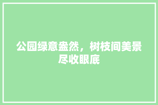公园绿意盎然，树枝间美景尽收眼底