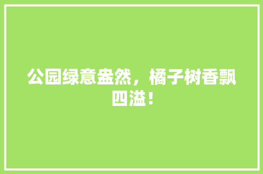 公园绿意盎然，橘子树香飘四溢！