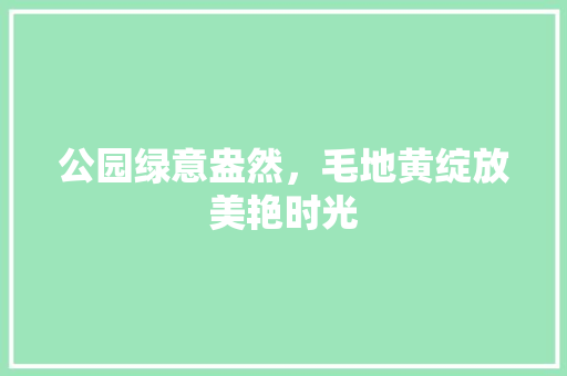 公园绿意盎然，毛地黄绽放美艳时光