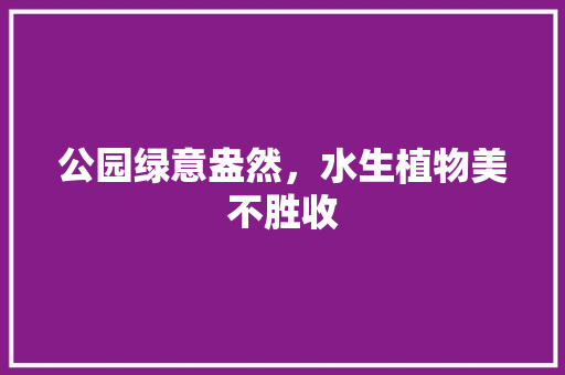 公园绿意盎然，水生植物美不胜收