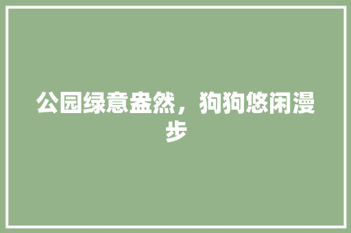 公园绿意盎然，狗狗悠闲漫步