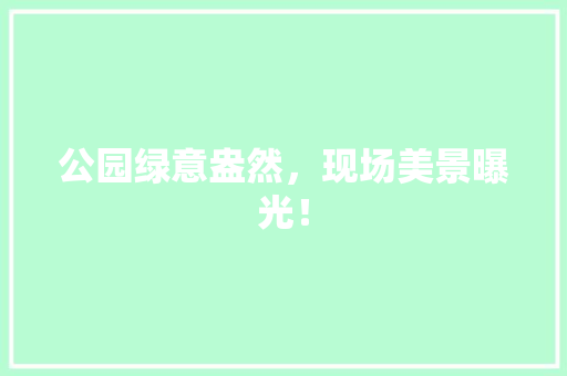 公园绿意盎然，现场美景曝光！