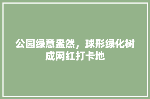 公园绿意盎然，球形绿化树成网红打卡地