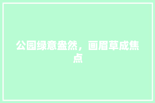 公园绿意盎然，画眉草成焦点