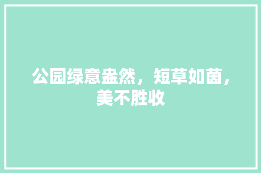 公园绿意盎然，短草如茵，美不胜收