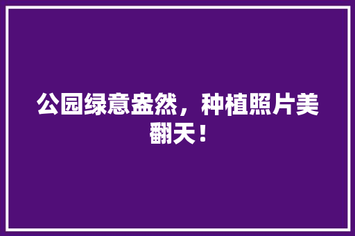 公园绿意盎然，种植照片美翻天！