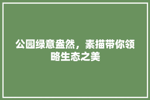公园绿意盎然，素描带你领略生态之美
