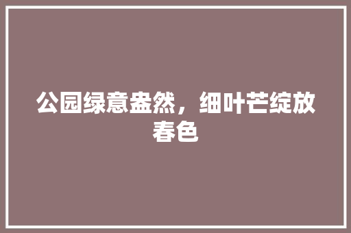公园绿意盎然，细叶芒绽放春色