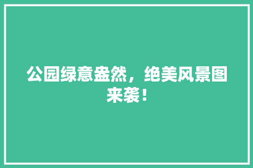 公园绿意盎然，绝美风景图来袭！