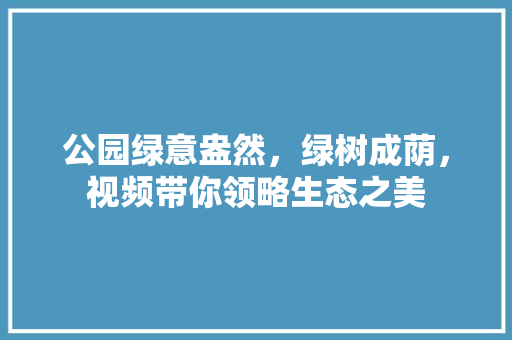 公园绿意盎然，绿树成荫，视频带你领略生态之美