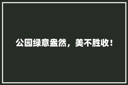 公园绿意盎然，美不胜收！