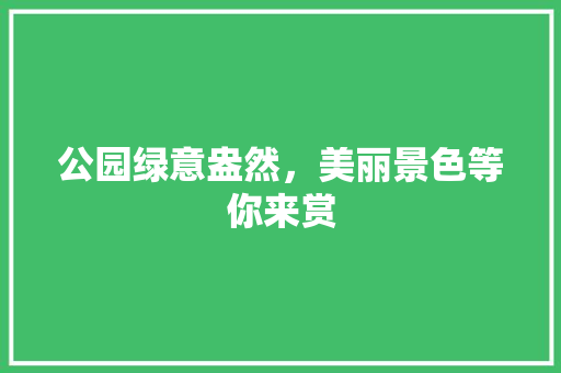 公园绿意盎然，美丽景色等你来赏