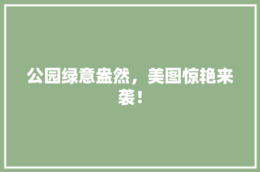 公园绿意盎然，美图惊艳来袭！