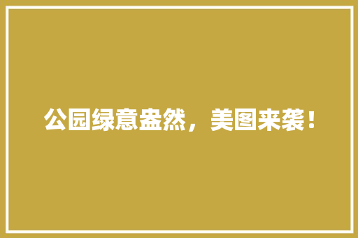 公园绿意盎然，美图来袭！