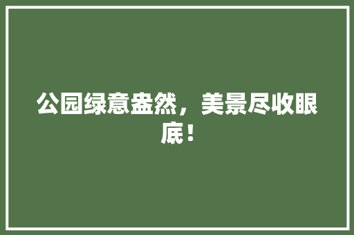 公园绿意盎然，美景尽收眼底！