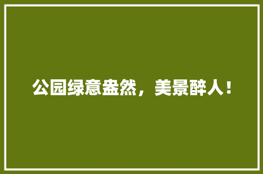 公园绿意盎然，美景醉人！